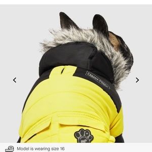 Canada Pooch True North Parka - Yellow